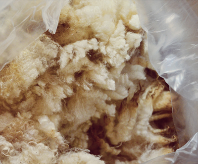 Bulk Wool Exporter Suppliers