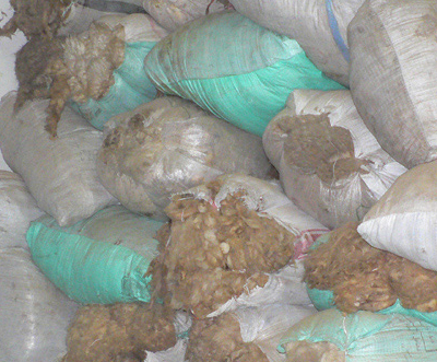 Buy Raw Wool Exporter Suppliers Wholesale
