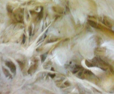 Greasy Wool Exporter Suppliers Wholesale