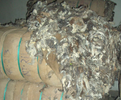 Raw Wool Exportrers Suppliers Wholesale
