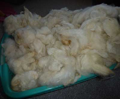 Raw Wool Prices Suppliers Wholesale