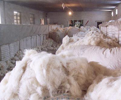 Australian Wool Exporter